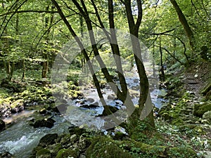 Small mountain river GerovÃÂica, Zamost - Region of Gorski kotar, Croatia / Mala gorska rijeka GerovÃÂica photo